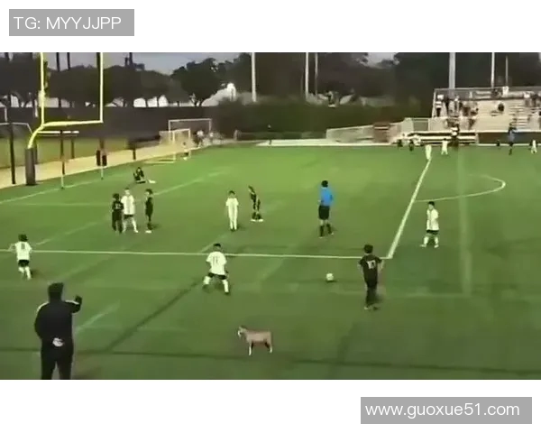 伊布调侃梅西小儿子西罗称其为迷你版梅西引发热议